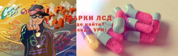 прущие грибы Новокубанск
