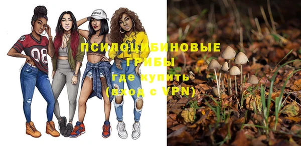 амф Новозыбков