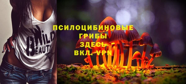 МДПВ Нязепетровск