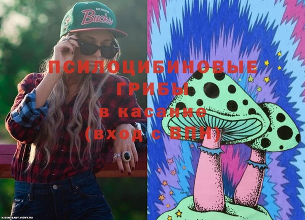МДПВ Нязепетровск