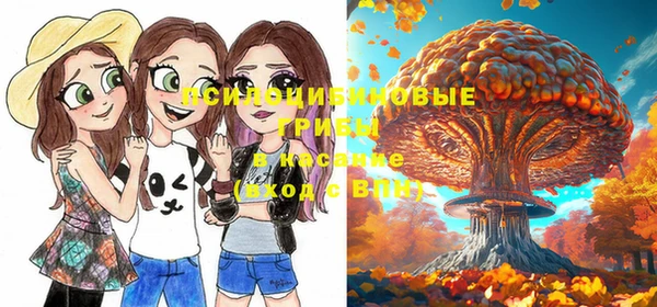 герыч Няндома