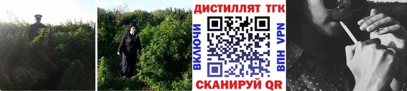Дистиллят ТГК вейп  blacksprut рабочий сайт  Туран  где можно купить наркотик 